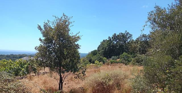 Terreno en Venta en Talaveruela de la Vera