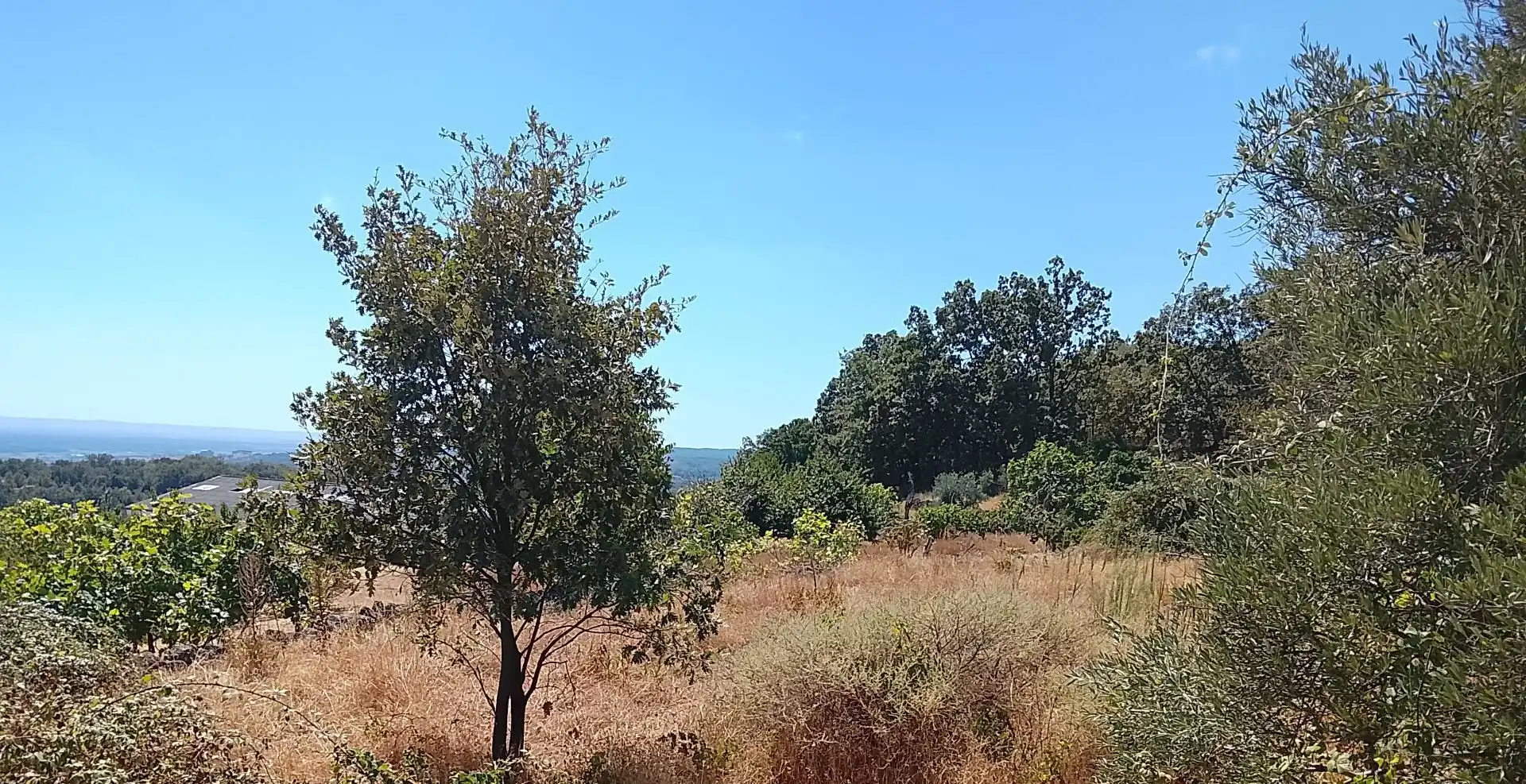 Terreni e lotti in vendita a Talaveruela de la Vera