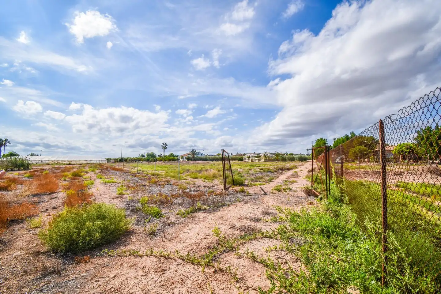 Terrain rustique à vendre à Elx - Santa Pola, imagen 6