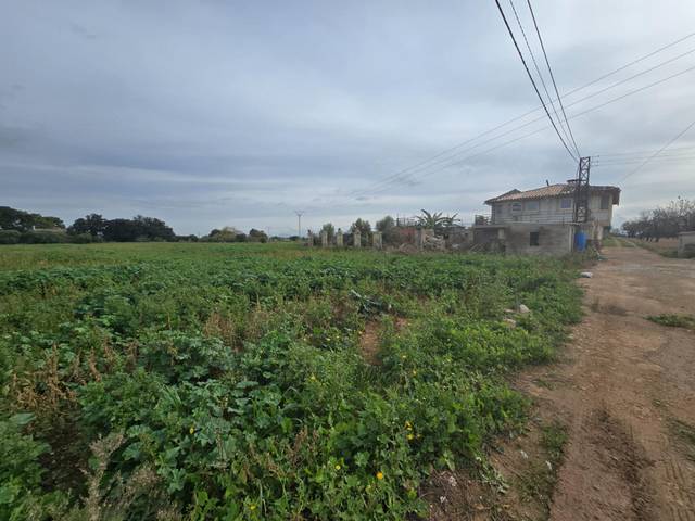 Finca rústica en Venta en Búger