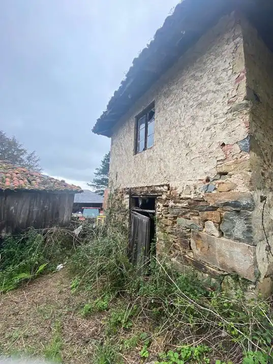 Vista exterior de Finca rústica en venta en Salas
