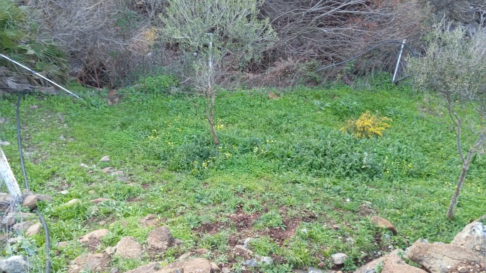 Casa rustica in vendita a Camino Los Guaperos , Paraje Majada Llana,, imagen 12