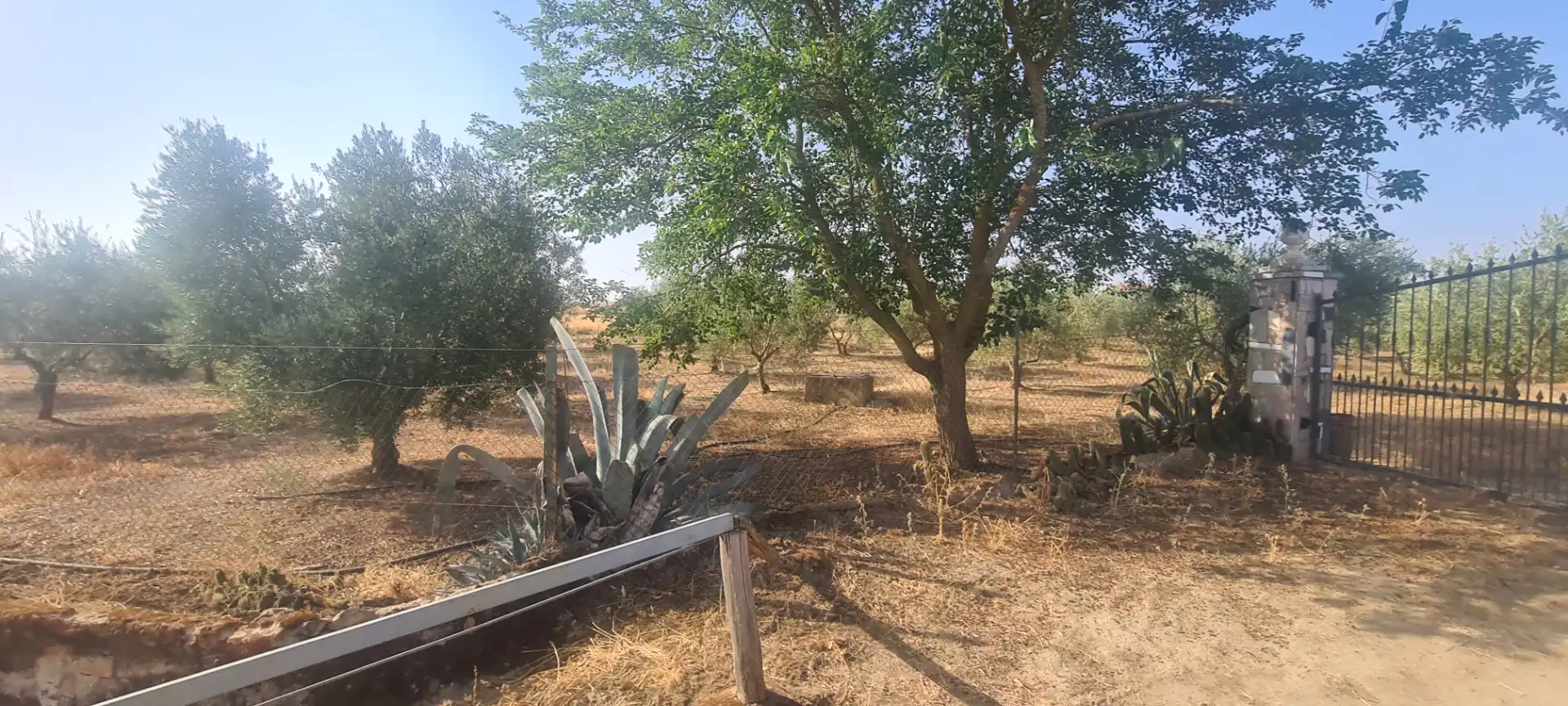 Terreni e lotti in vendita a Azuaga, imagen 6