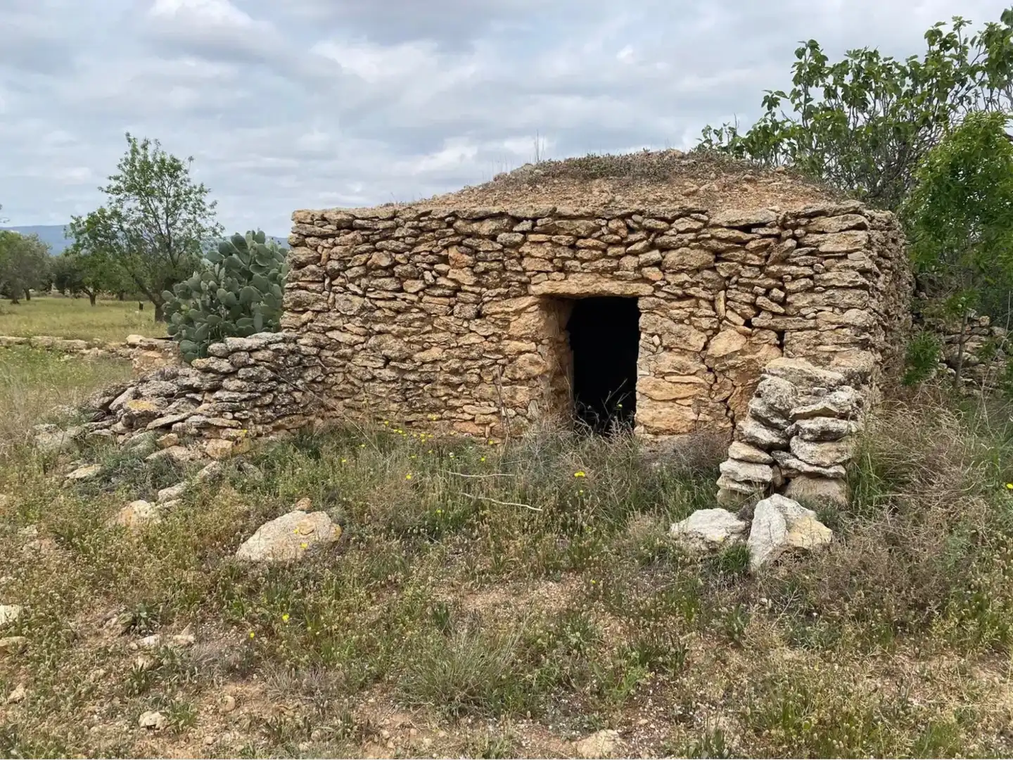 Terrain rustique à vendre à Carrer dels Teixidors