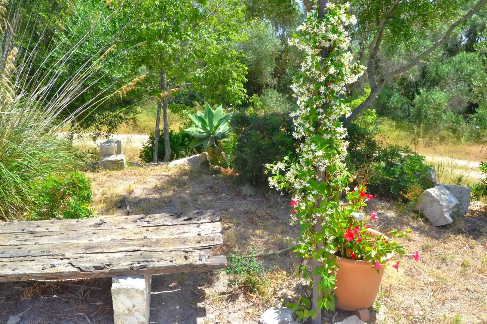 Garten von Country house zum Verkauf in Muro mit Klimaanlage, Heizung und Privatgarten