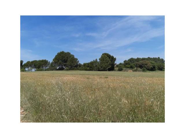 Terreno residencial en Venta en Saus, Camallera i Llampaies