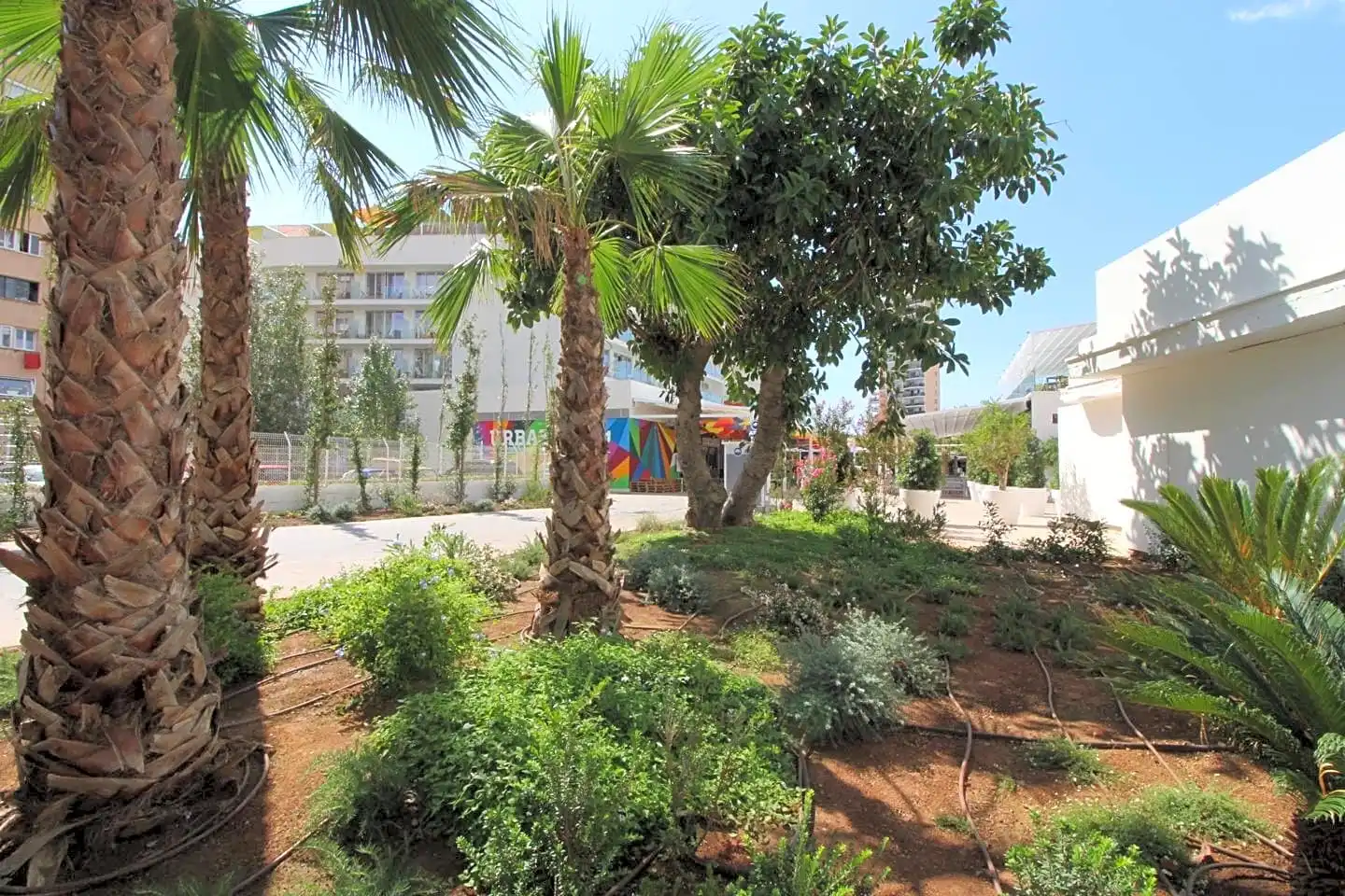 Gewerbefläche zum Verkauf in Magaluf, imagen 4