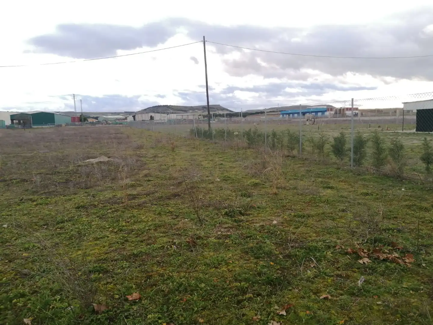 Terreny industrial en venda en Peñafiel