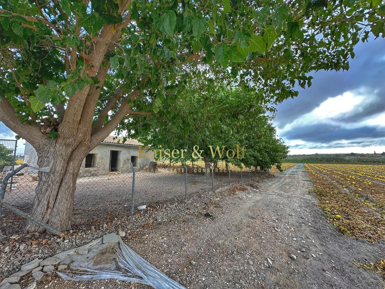 Country house for sale in Elche / Elx