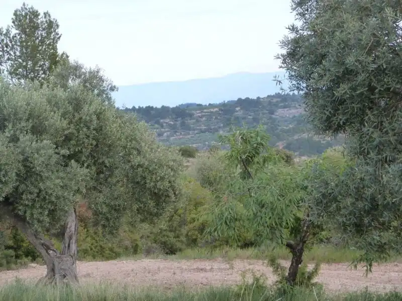 Country homes for sale in Valjunquera