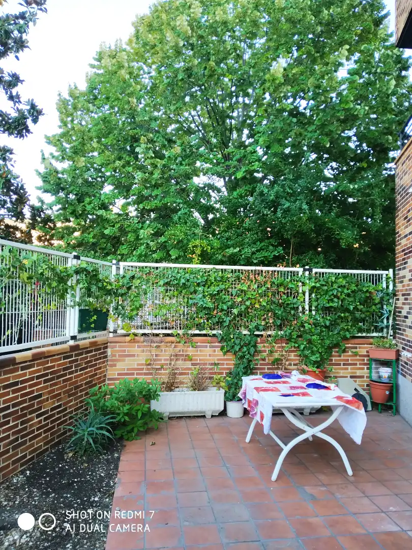 Terrassa de Estudi de lloguer en Pozuelo de Alarcón amb Calefacció, Jardí privat i Parquet