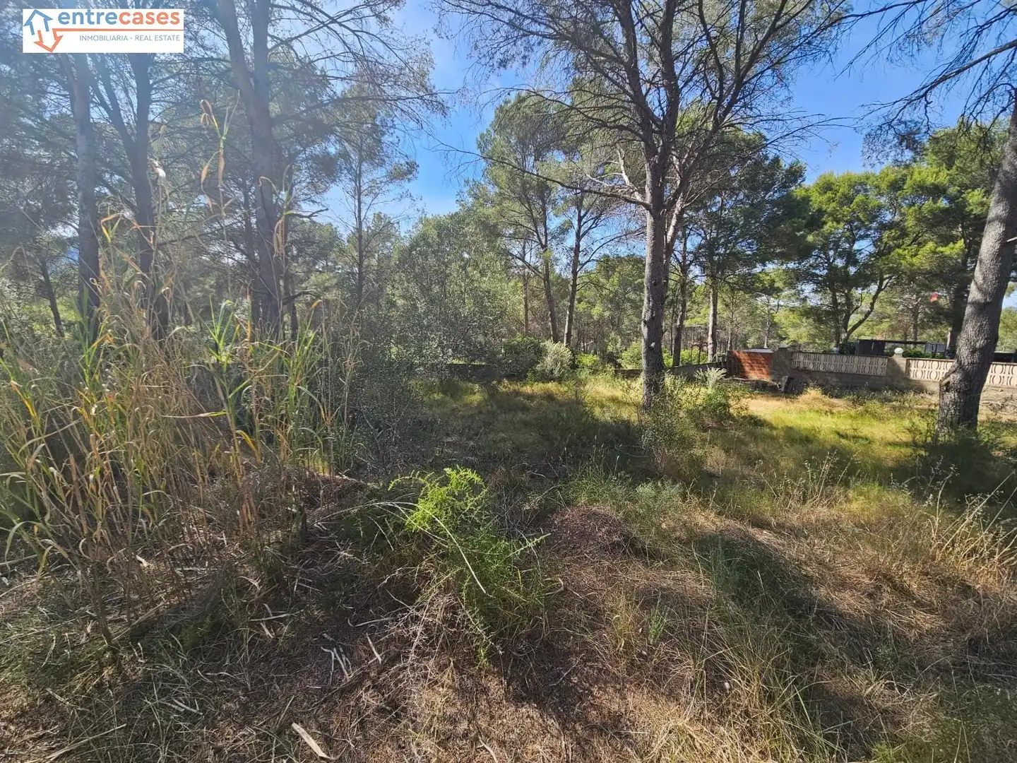 Residential land for sale in Gilet, imagen 11