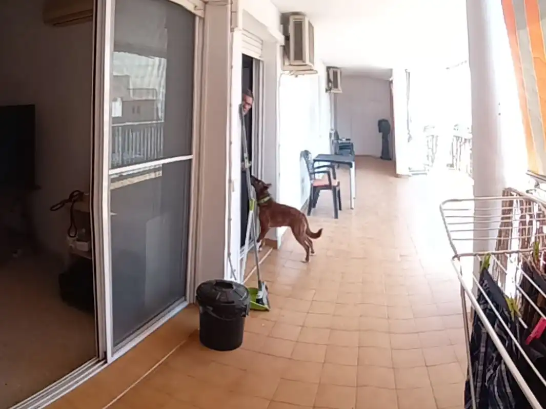 Wohnung mit Pool zum Verkauf in Av. Aragonesa 35, imagen 5