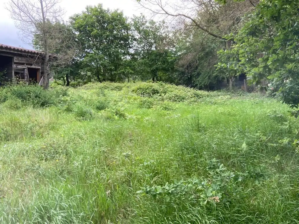 Rural land for sale in Parroquias Rurales, imagen 3