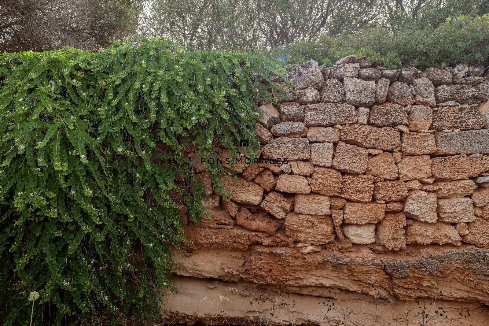 Country house for sale in Ciutadella, imagen 5