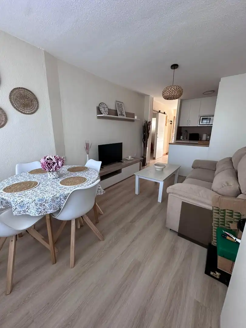 Flat for rent in de Holanda, Mil Palmeras