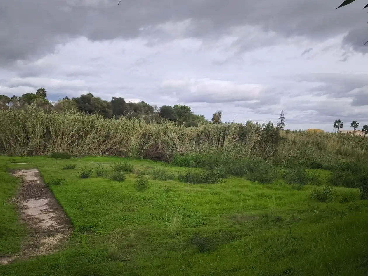 Terreno residencial en venta en El Castillo, imagen 5