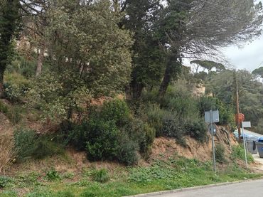 Lands and plots for sale in Vallgorguina