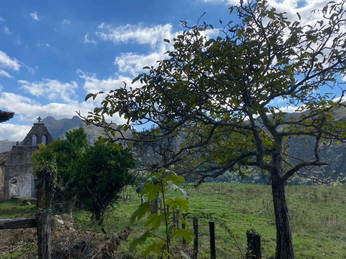 Maison avec jardin à vendre à Tresmonte, imagen 72