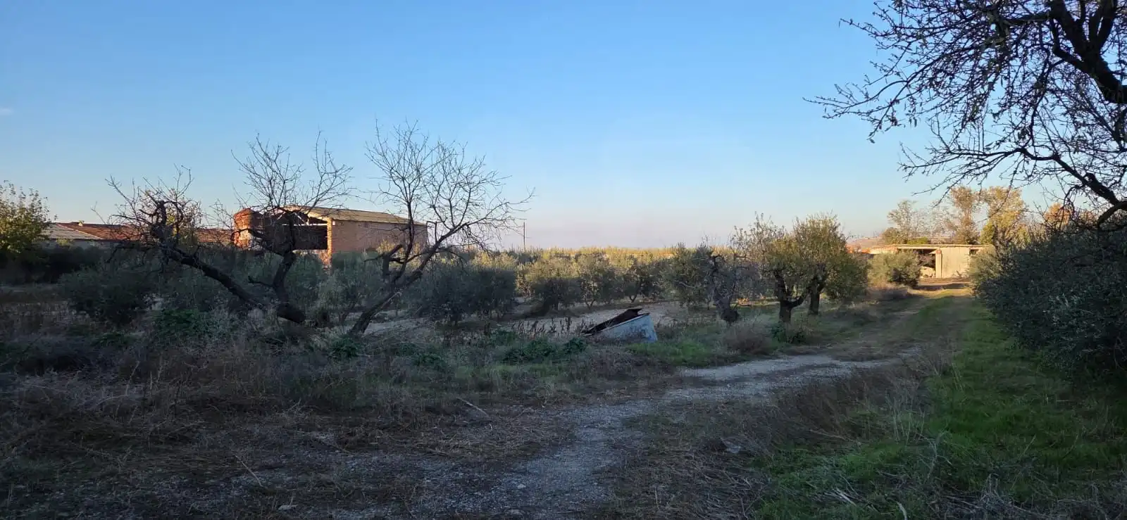 Residencial en venda en Vilagrassa