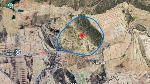 SE VENDE FINCA RUSTICA SECANO EN EL ALGARROBO ABANILLA, immagine 5