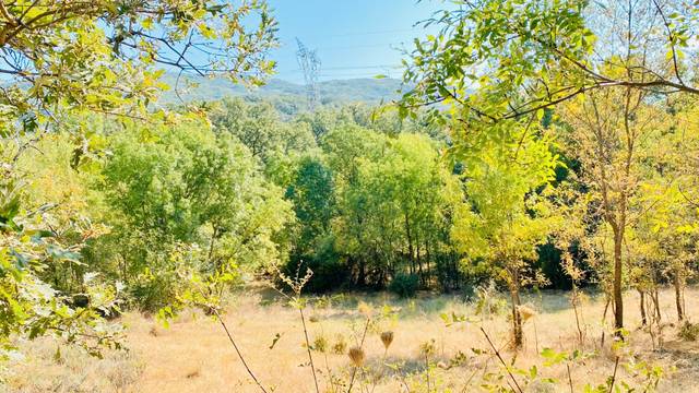 Terreno en Venta en N/A, -1 en Gargüera