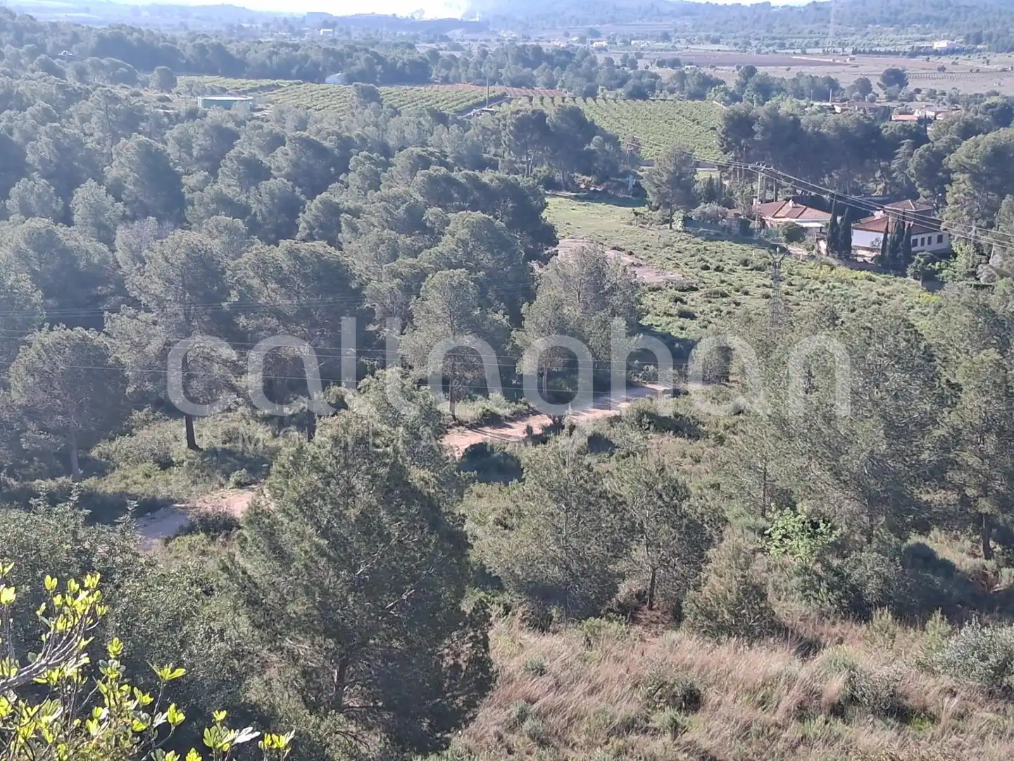 Residential land for sale in Camino de la Creu d'Horquera, imagen 14