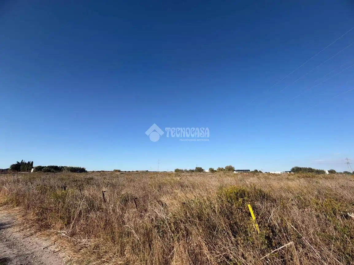 Terreno rústico en venta en Los Franceses – La Vega, imagen 10