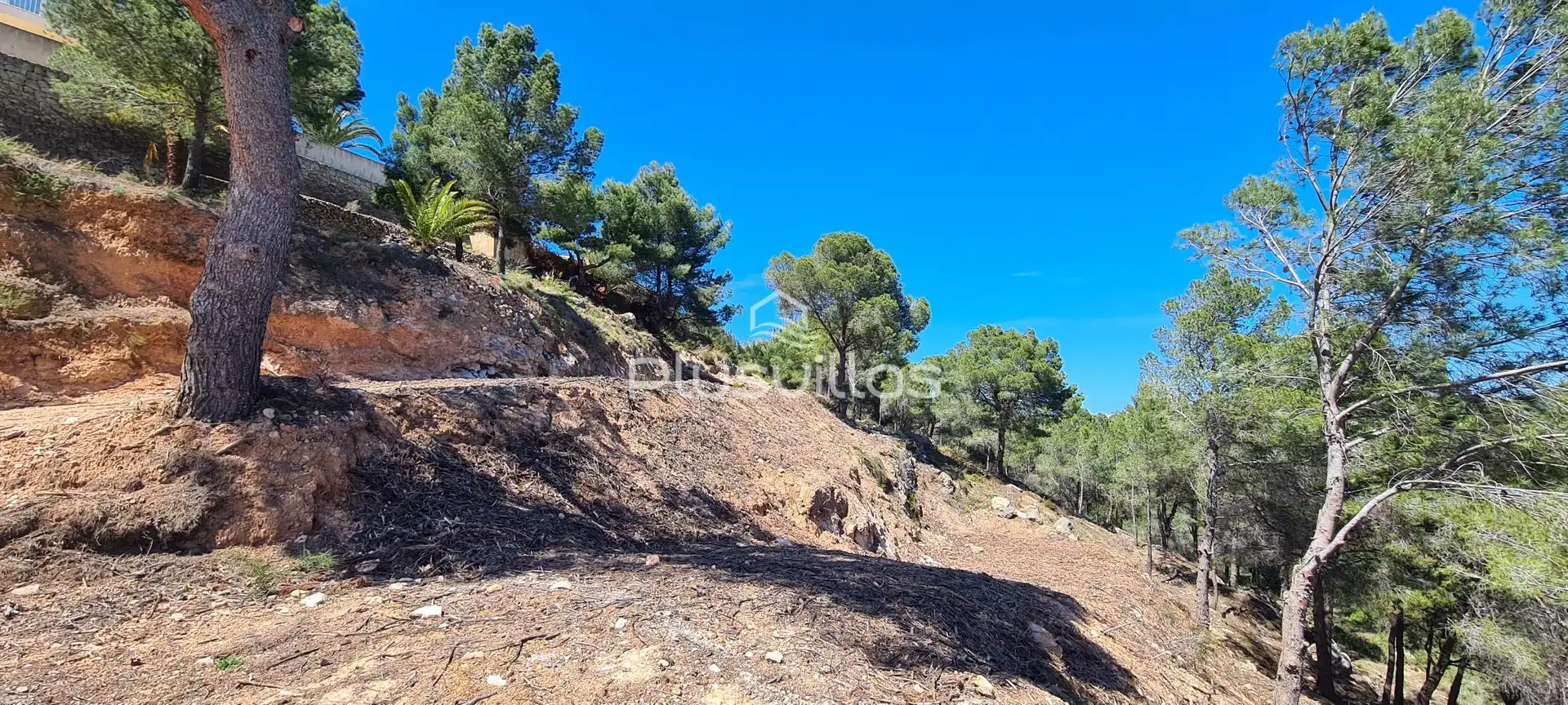 Lands and plots for sale in Oltamar - Cucarres, imagen 6