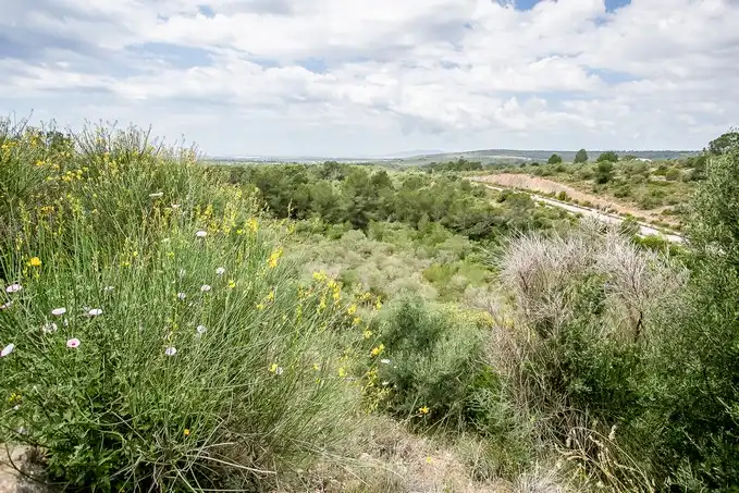 Rural land for sale in C/ Puntiro, imagen 16