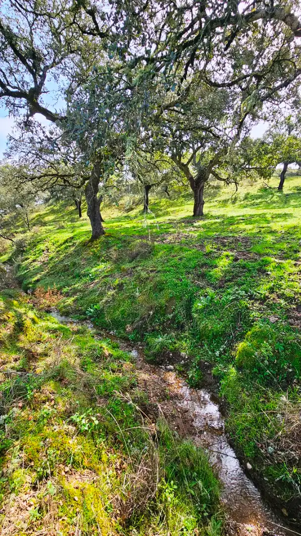 Terreni e lotti in vendita a Santa Olalla del Cala, imagen 9