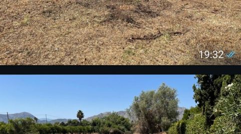 Foto 3 de Finca rústica en venda a Avinguda de L'oest, 8, La Xara - La Sella, Dénia