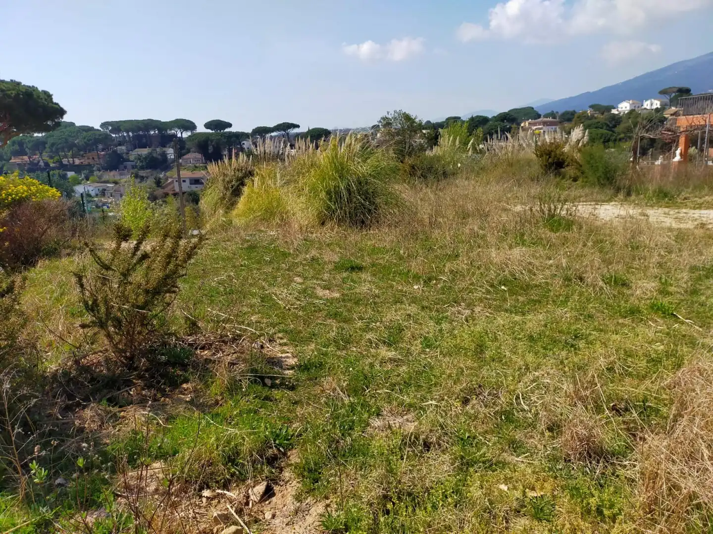 Residential for sale in Riells i Viabrea