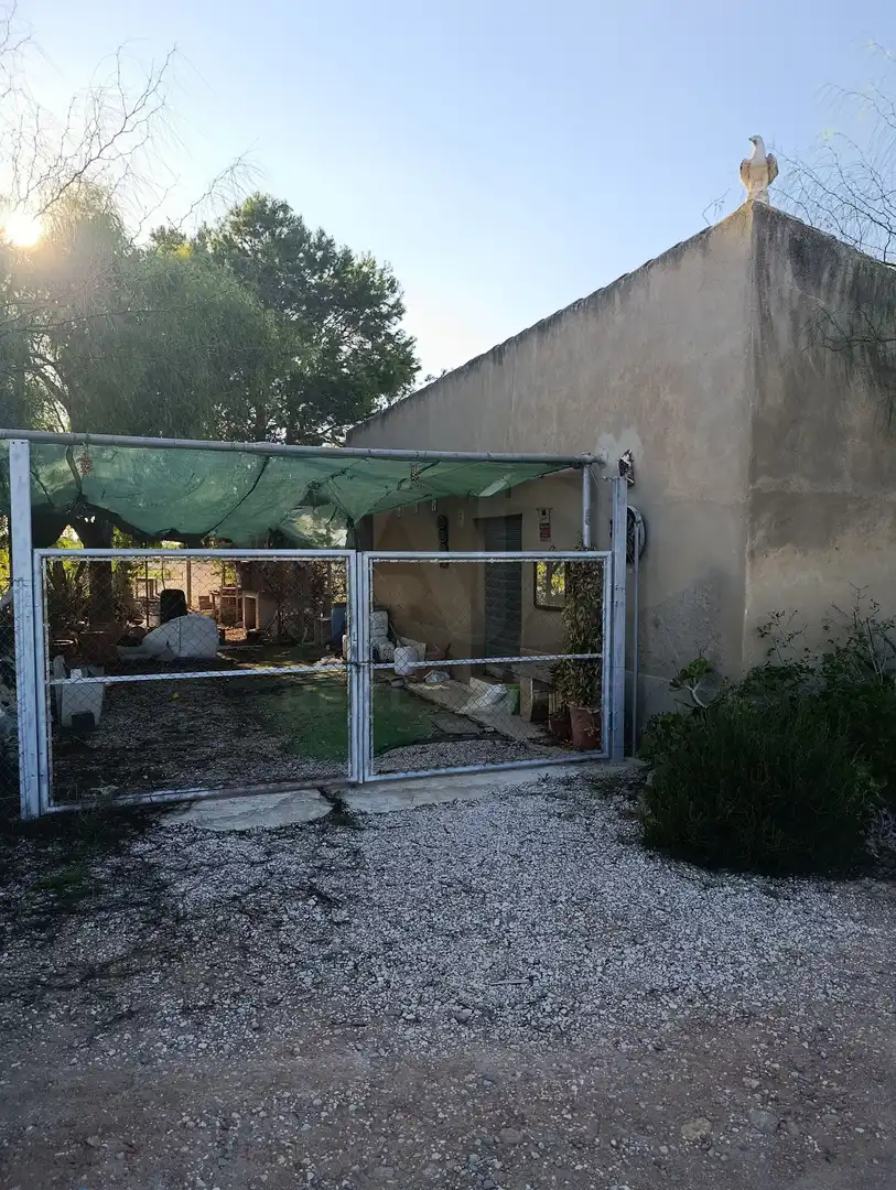 Terrain rustique à vendre à La Marina, imagen 26