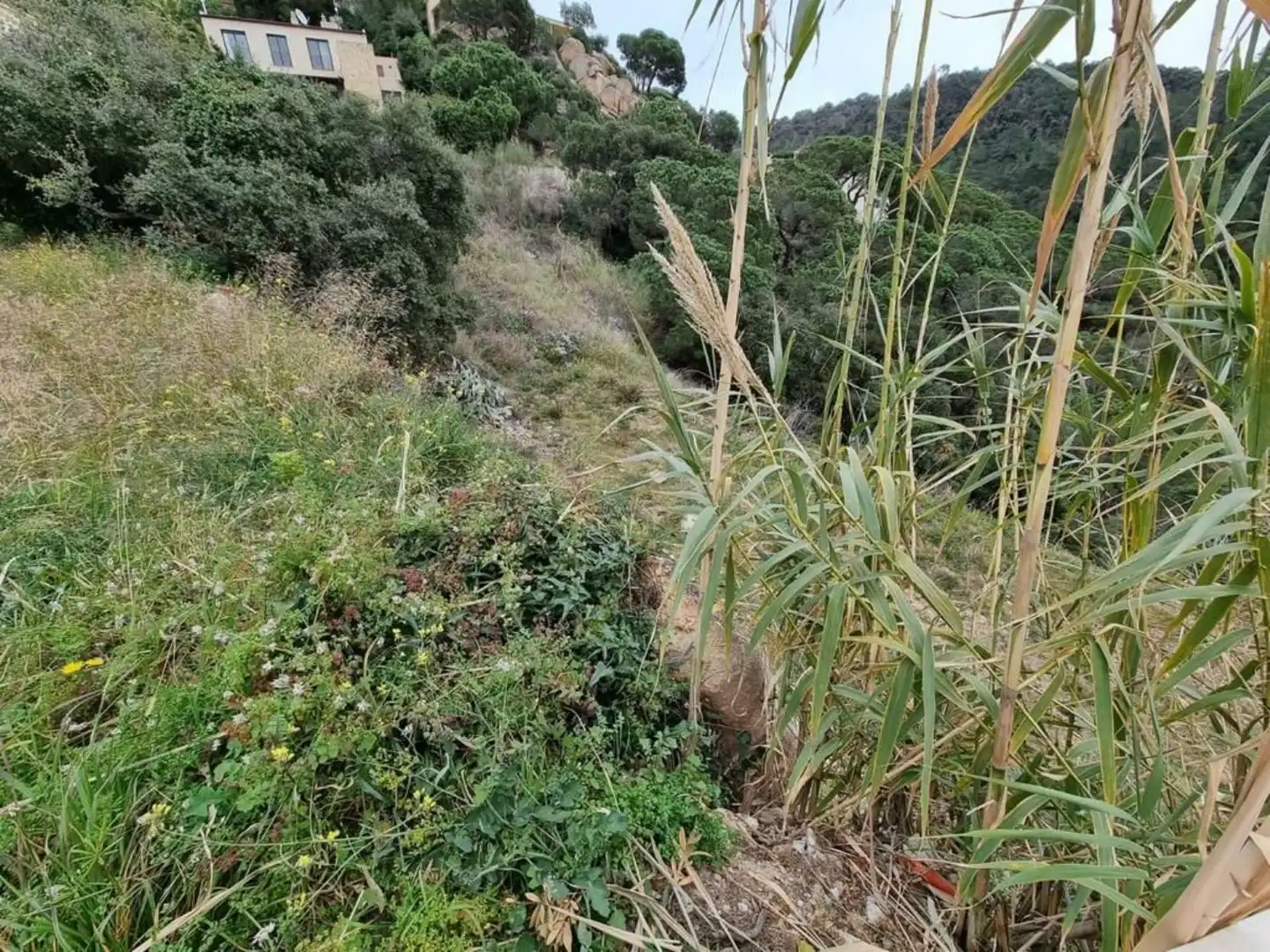 Terrenos y solares en venta en Serra Brava, imagen 27