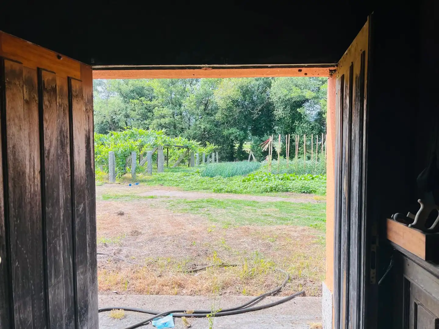 Finca rústica en venta en Ribadumia