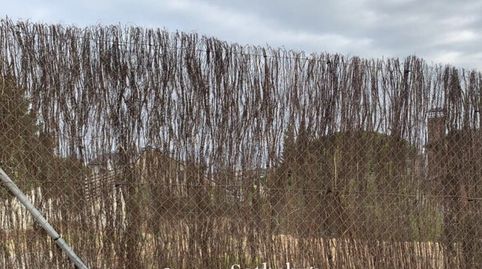 Terreno con maravillosas vistas al mar en Teià, El Maresme, immagine 5