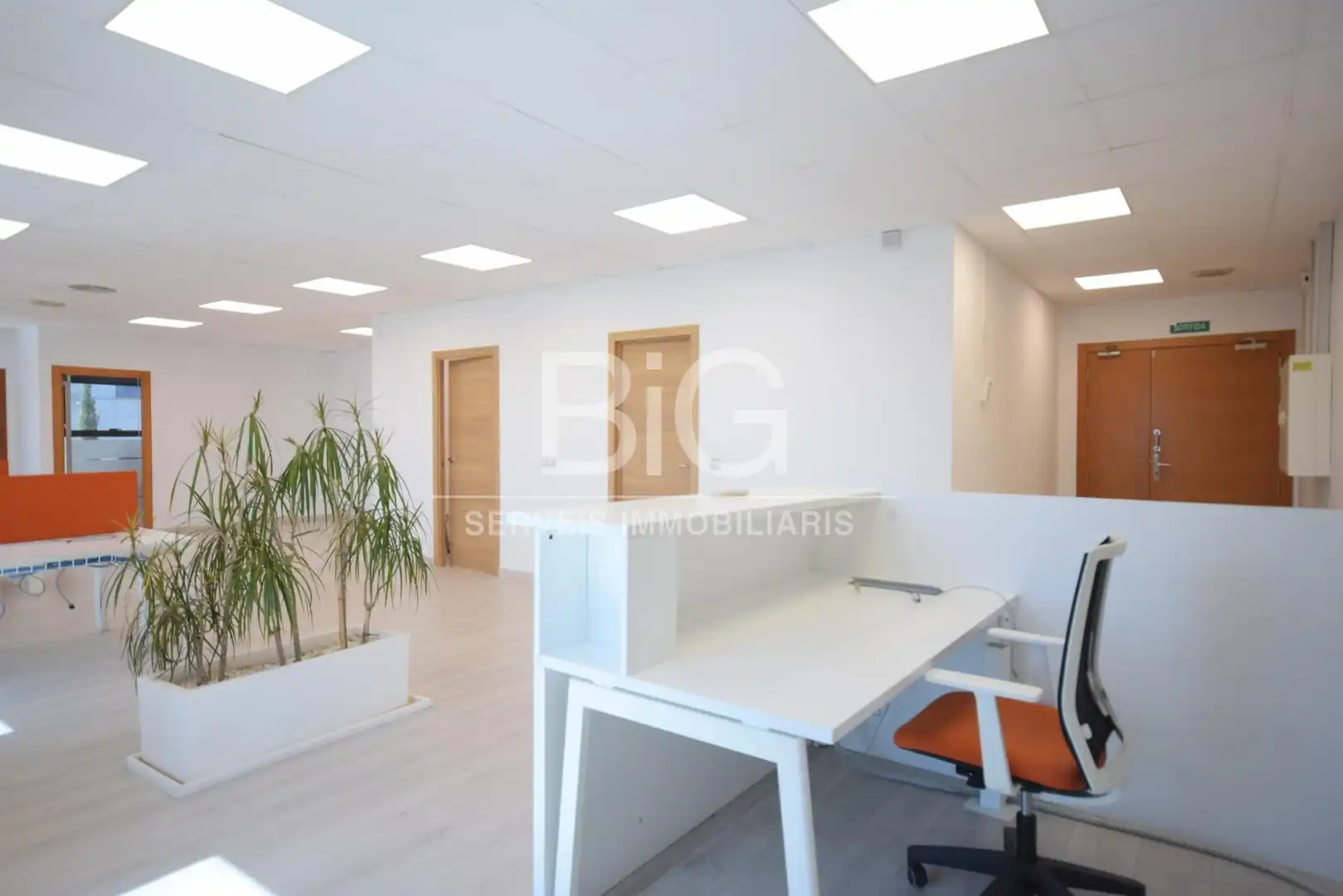 Office space with lift to rent in Pla d'en Boet, imagen 5