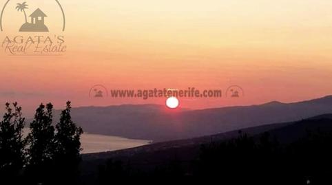 Foto 3 de Finca rústica en venda a La Vega - El Amparo - Cueva del Viento, Icod de los Vinos