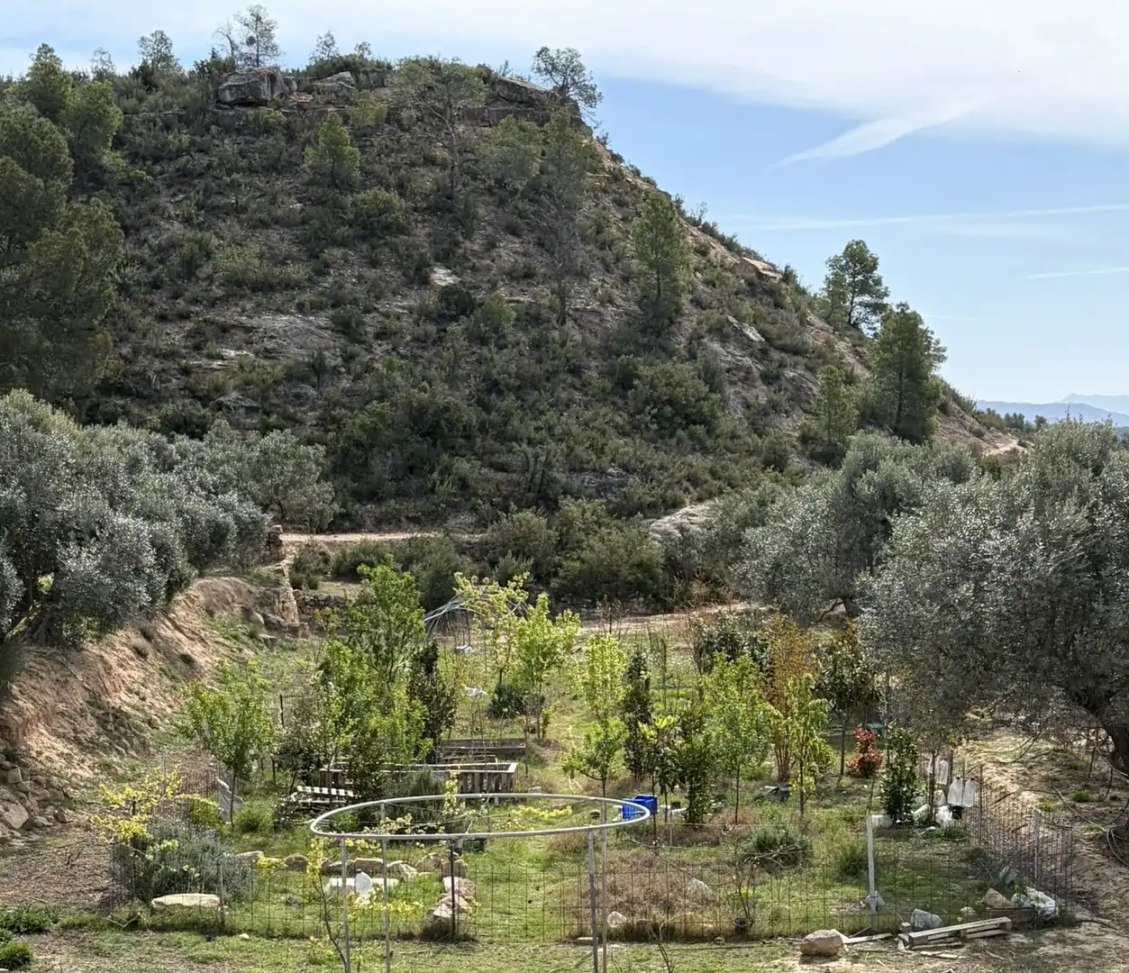 Jardín de Finca rústica en venta en Flix