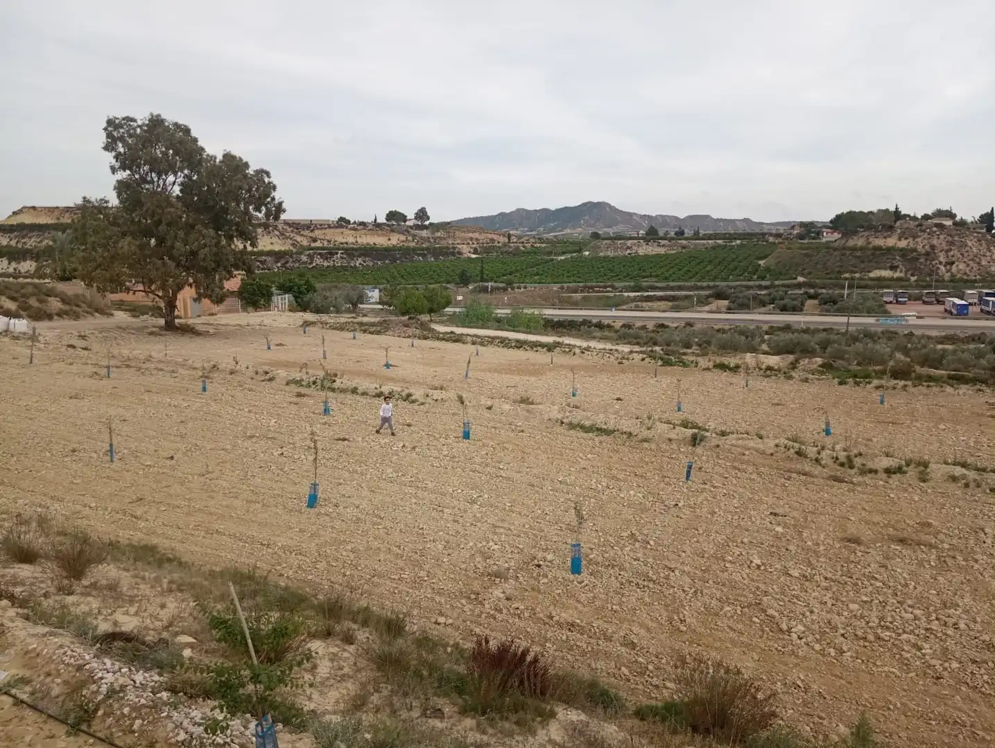 Terreno rustico in vendita a Campo de Murcia, imagen 4