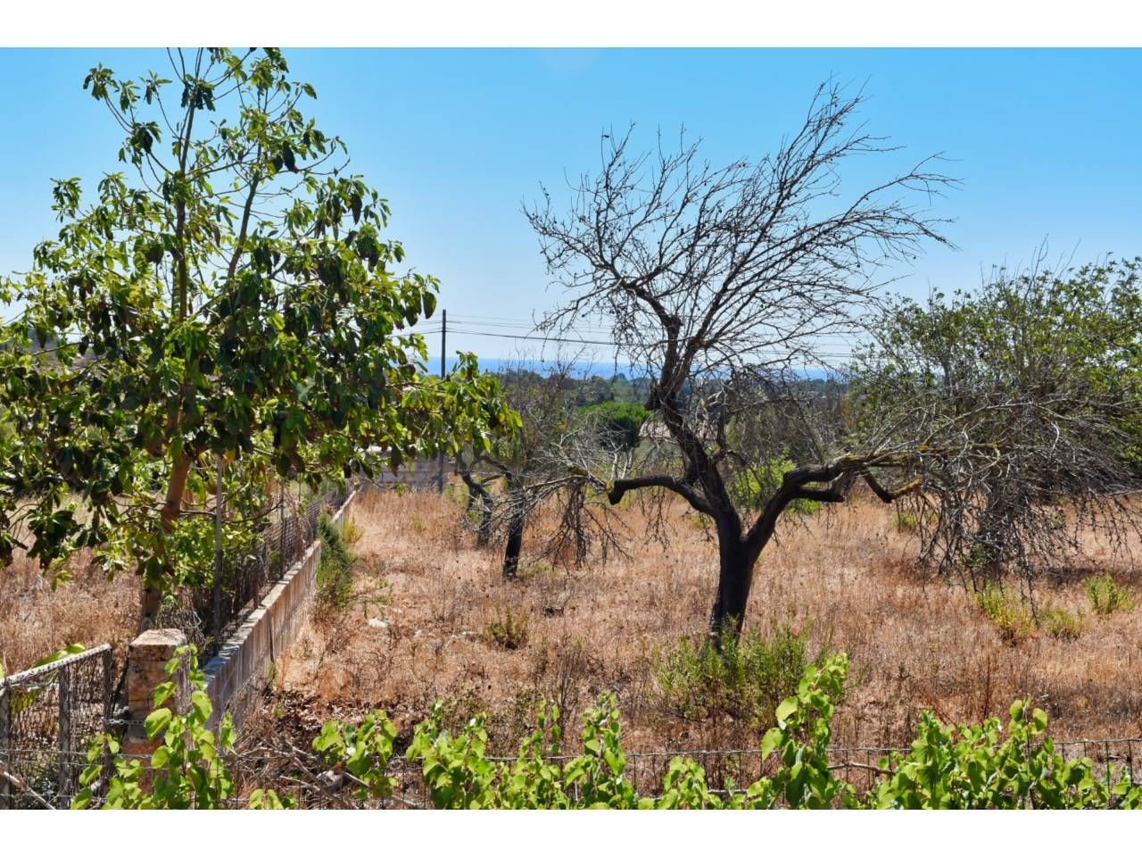 Finca rústica en venda en Son Servera amb Jardí privat i Terrassa