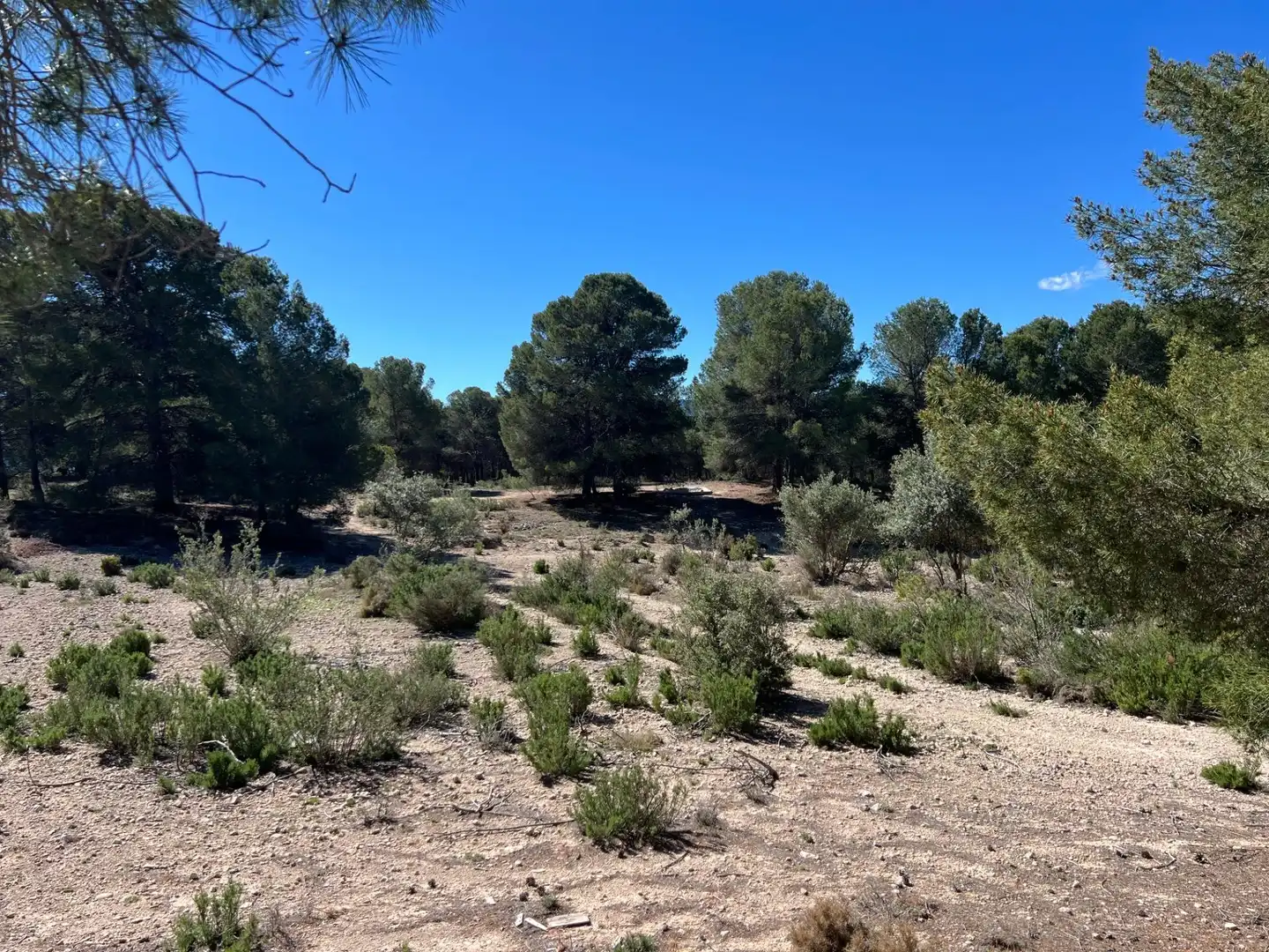 Country homes for sale in Castalla