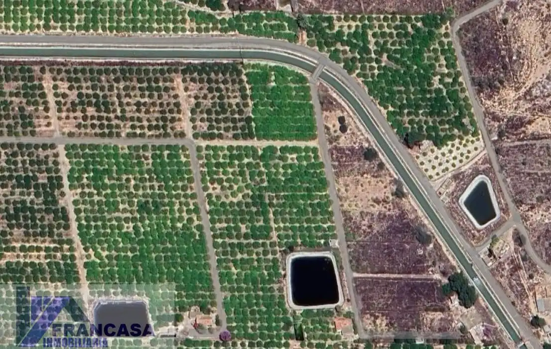 Terreni e lotti in vendita a Montepinar - La Aparecida - Raiguero, imagen 5