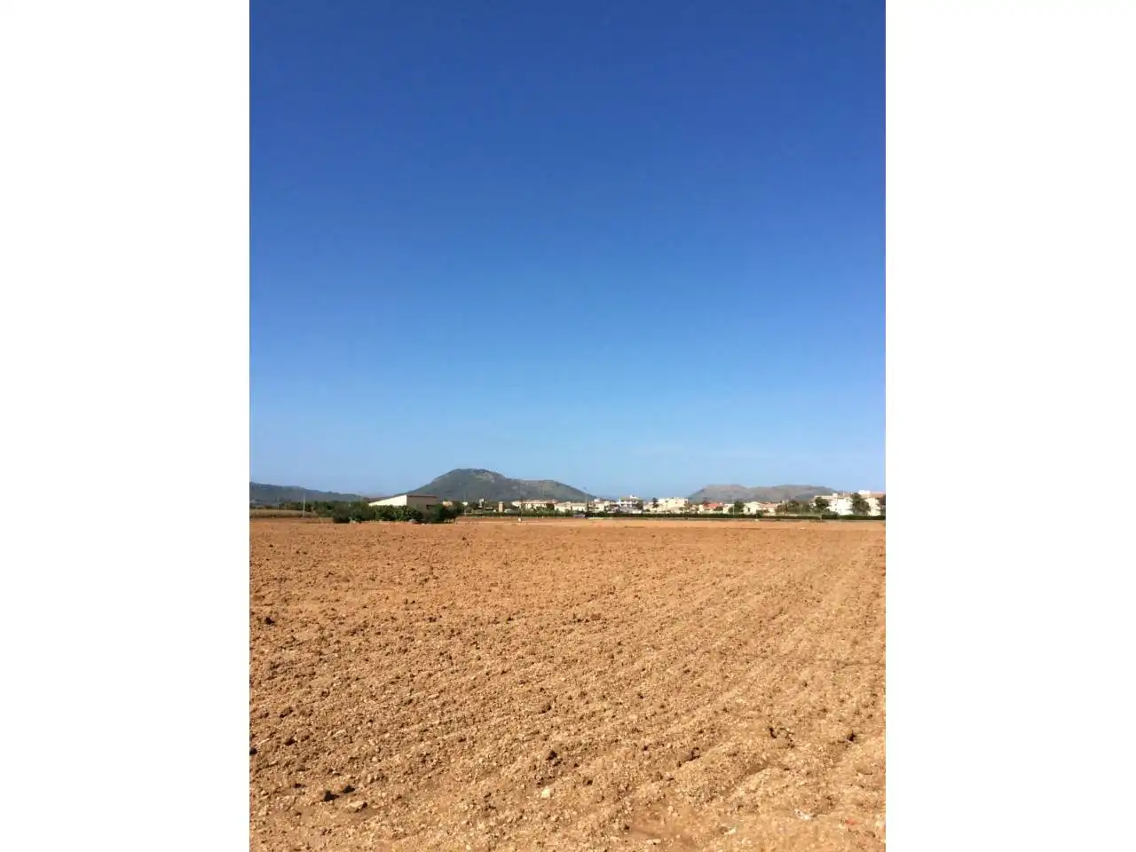Terreny residencial en venda a Sa Pobla, imagen 5