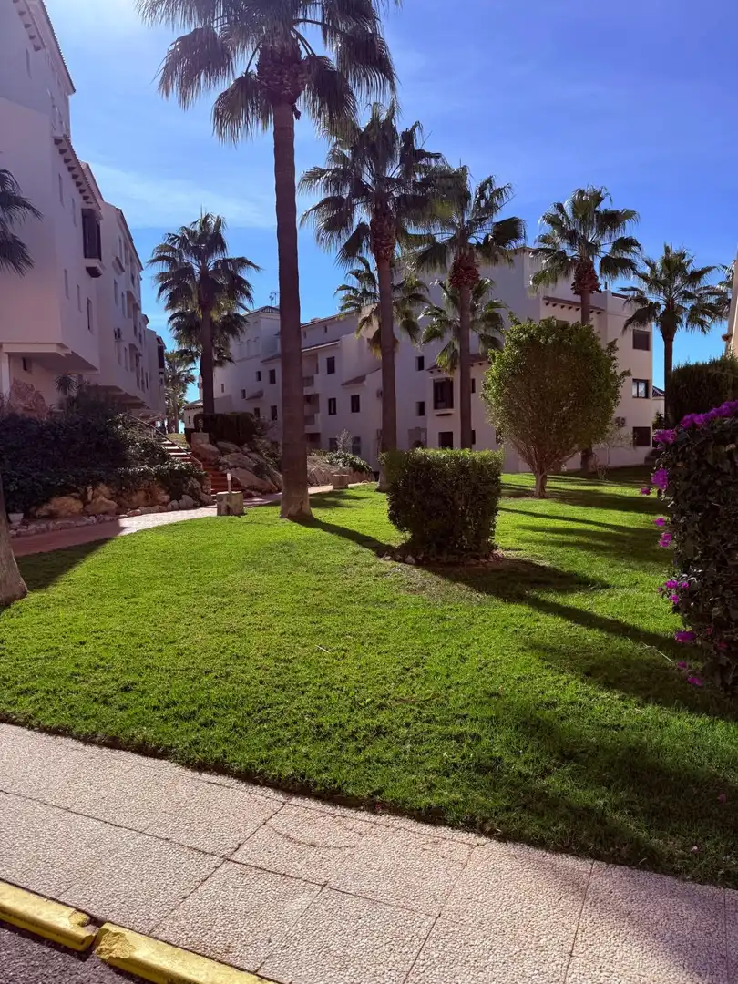 Jardí de Apartament en venda en Orihuela amb Aire condicionat, Jardí privat i Terrassa