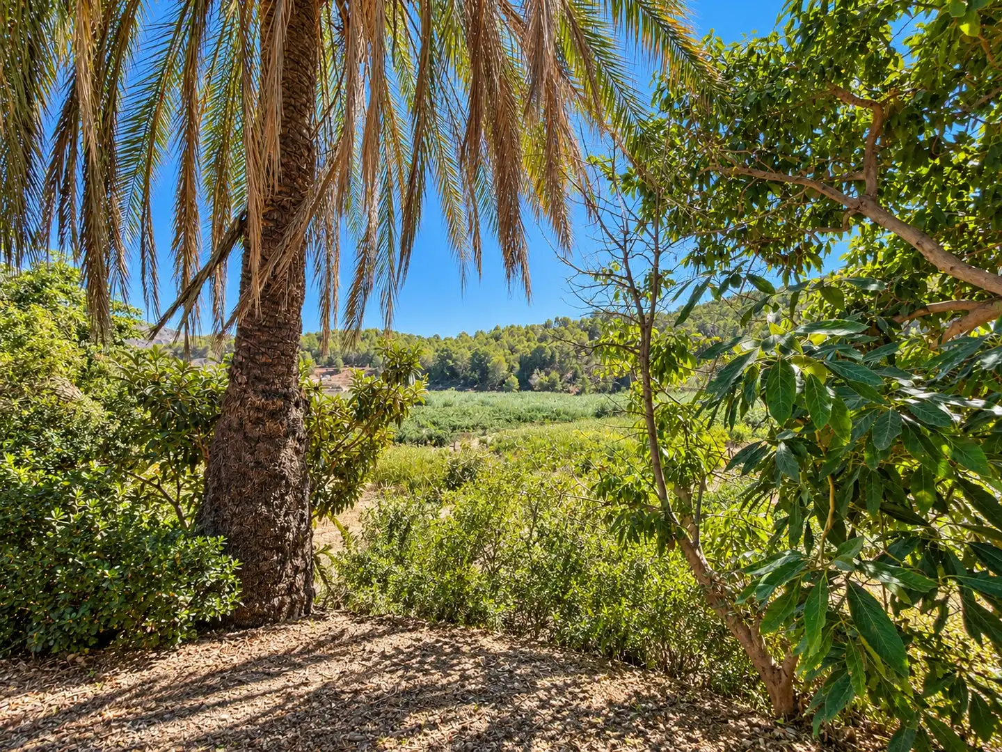 Maison rustique à vendre à Altea ciudad, imagen 20