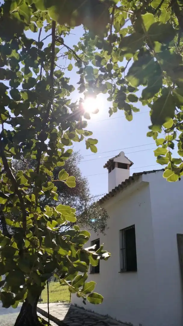 Casa rústica en venda a El Bosque, imagen 21