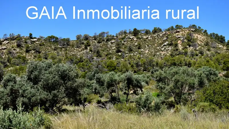 Finca rústica en venda en Batea