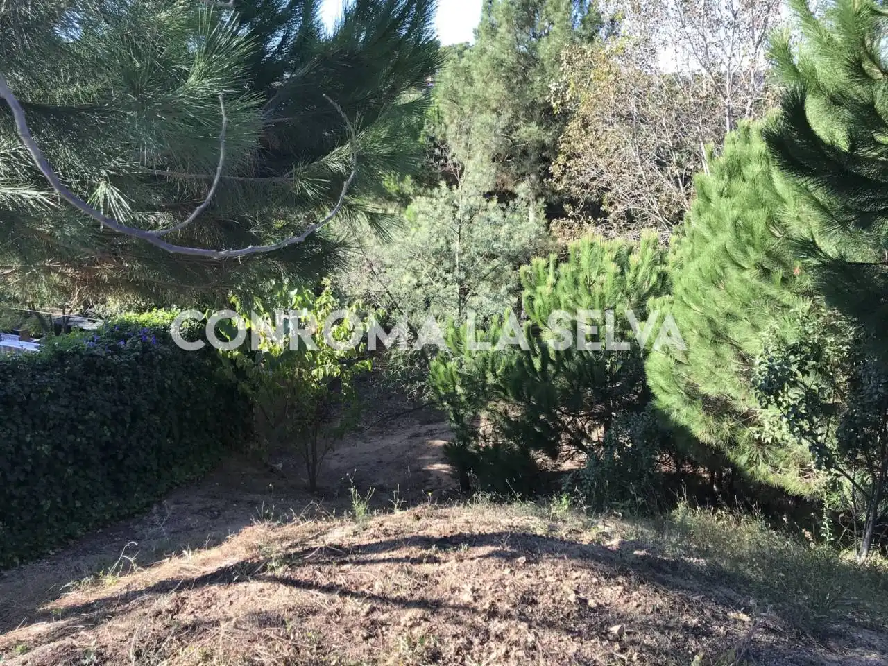 Terreny residencial en venda a Lloret Residencial - Montlloret, imagen 5